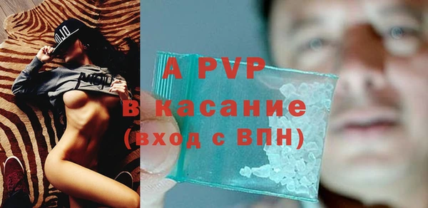 прущие грибы Покачи