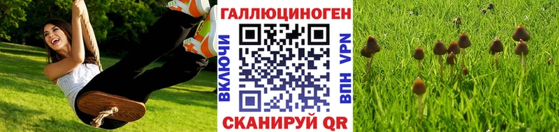 Галлюциногенные грибы Magic Shrooms  Черногорск 