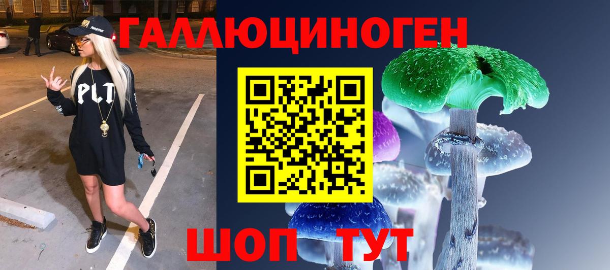Псилоцибиновые грибы прущие грибы  Вход с VPN  Черногорск  Псилоцибиновые грибы Magic Shrooms 