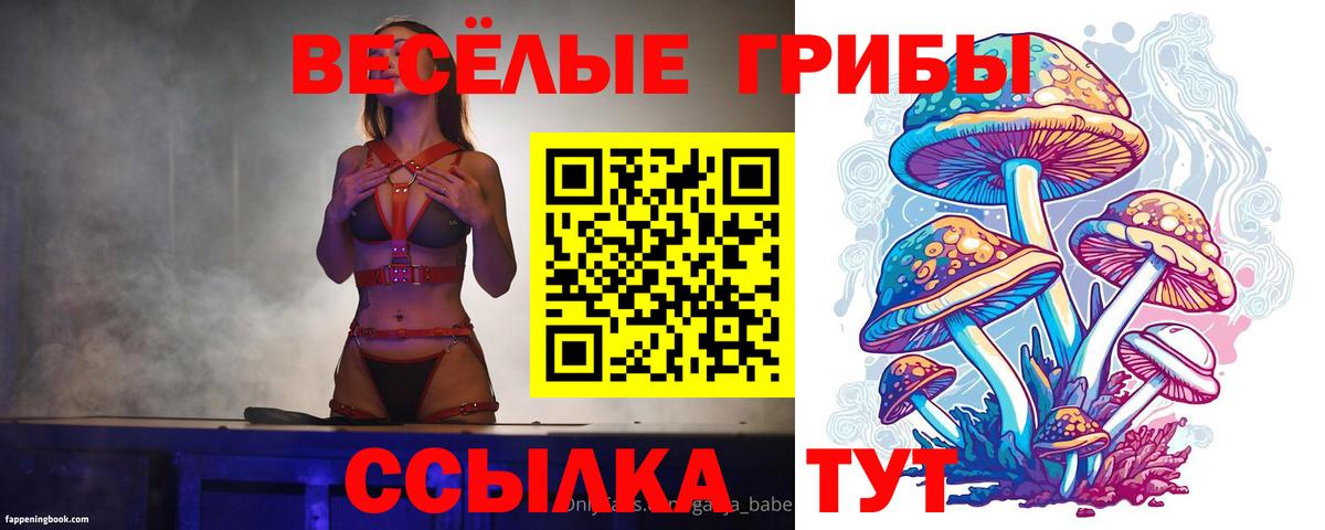 Псилоцибиновые грибы Magic Shrooms Черногорск