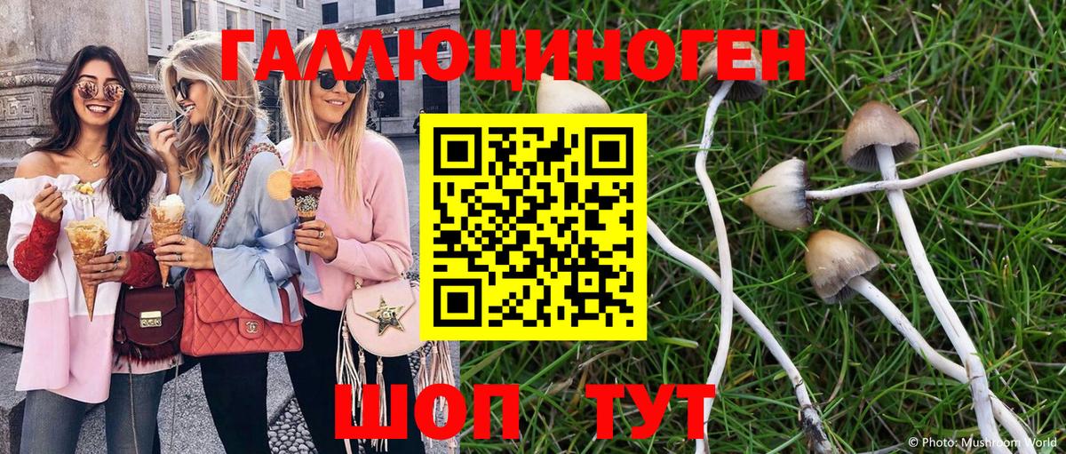 Галлюциногенные грибы ЛСД  Черногорск 